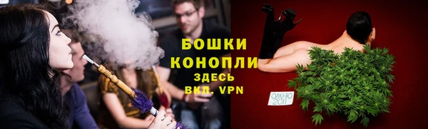apvp Семилуки