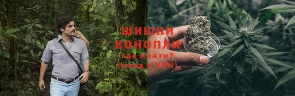 молекула духа Лабытнанги