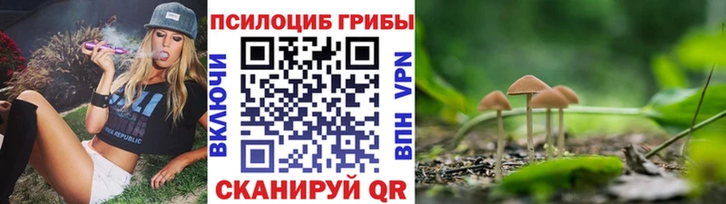 Галлюциногенные грибы Cubensis  Киренск 